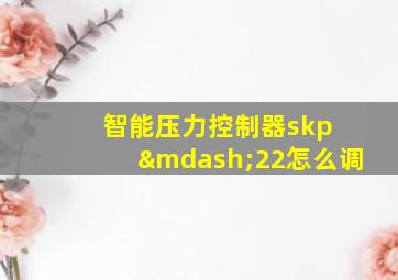 智能压力控制器skp —22怎么调